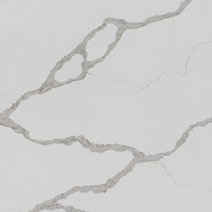 Calacatta Vista - Trends IQ | D